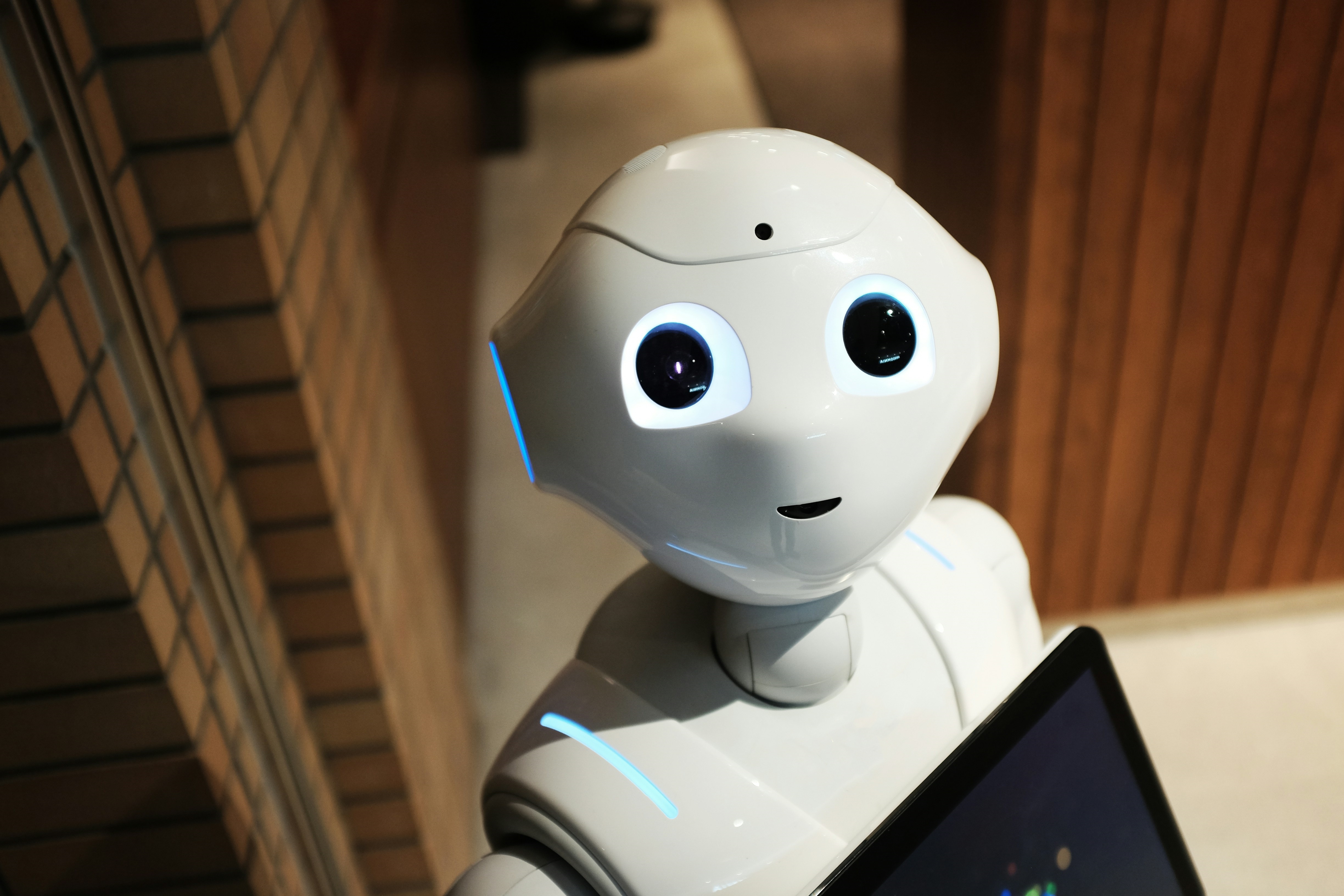 ROBOI 2025